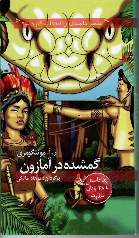 تصویر  گمشده در آمازون (مسير داستان را انتخاب كنيد) (جلد 9)