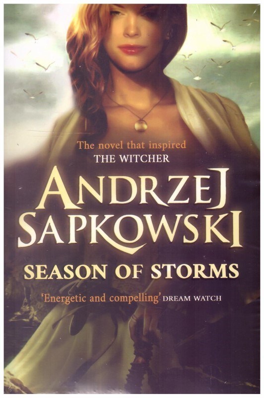 تصویر  the witcher: season of storms (فصل طوفان ها)